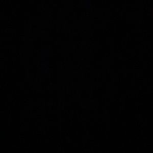 Meet your Posher, Riley